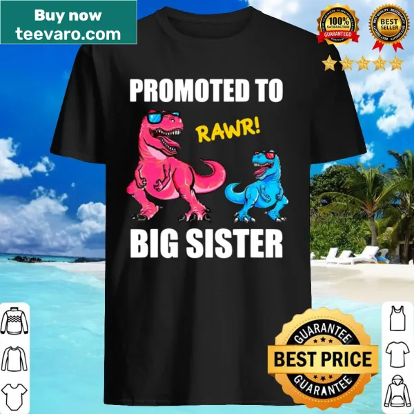 Cute dinosaur graphic with Promoted To Big Sister 2021 text