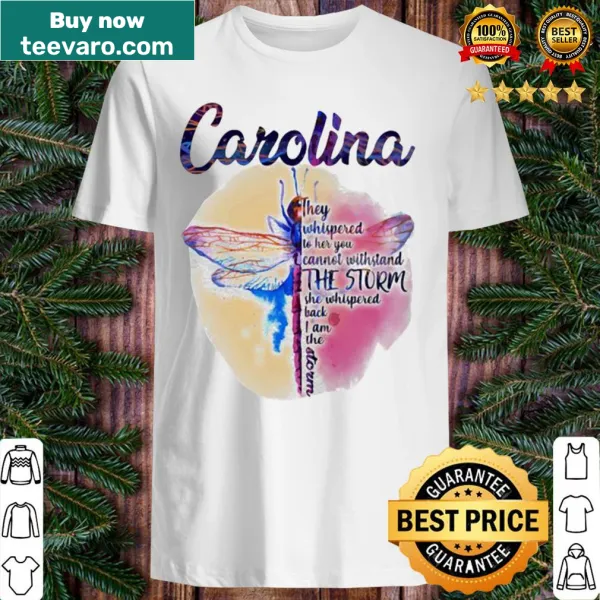 Inspirational dragonfly t-shirt with motivational text