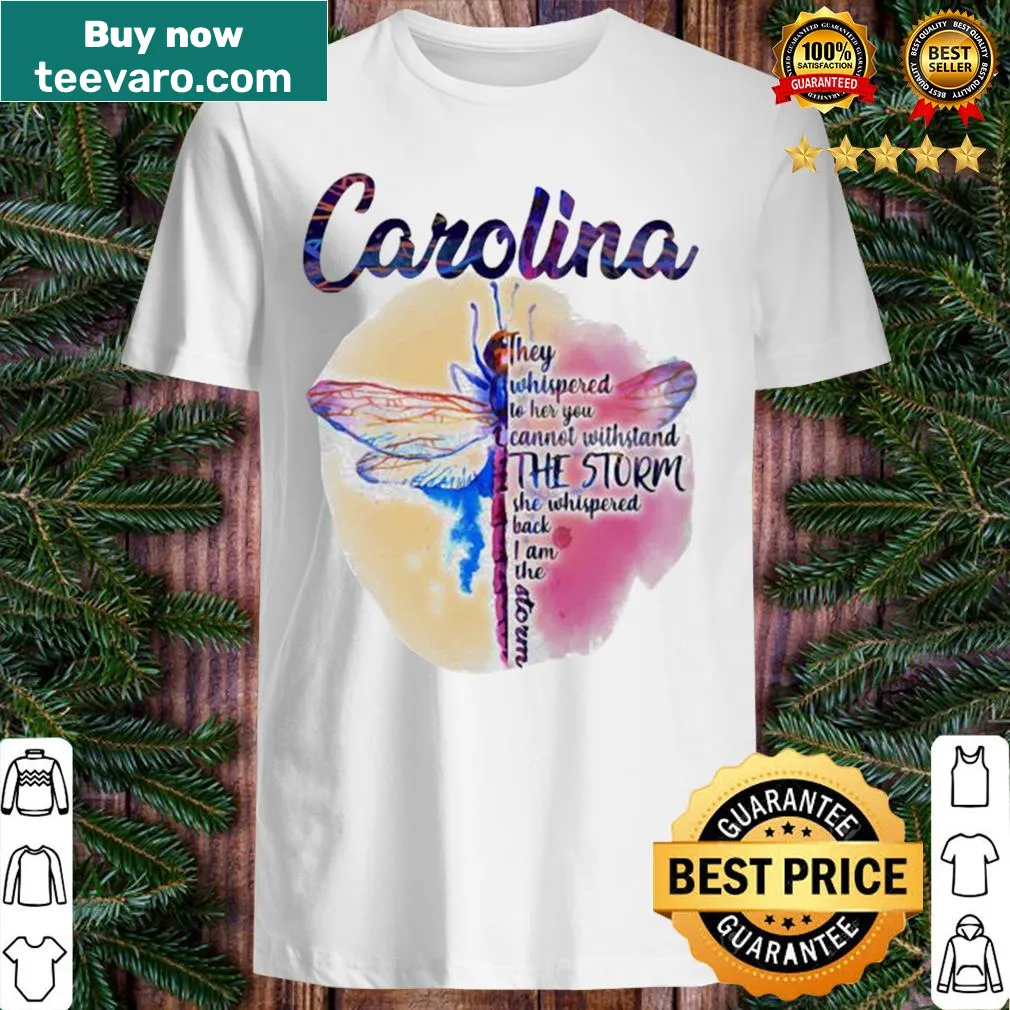 Inspirational dragonfly t-shirt with motivational text