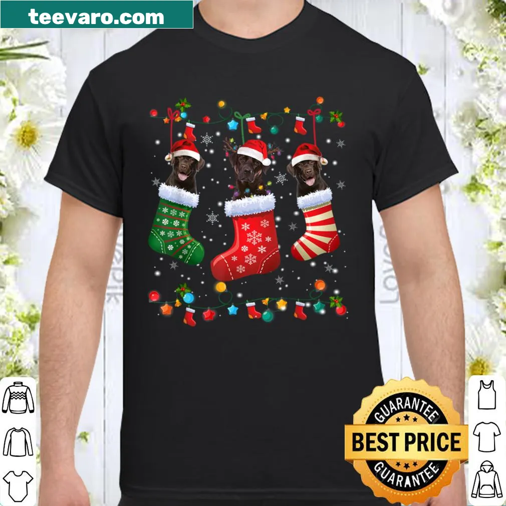 Christmas-themed shirt featuring a Chocolate Lab in festive socks.