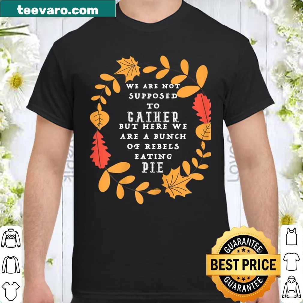Cartoon Thanksgiving shirt with rebels and pie