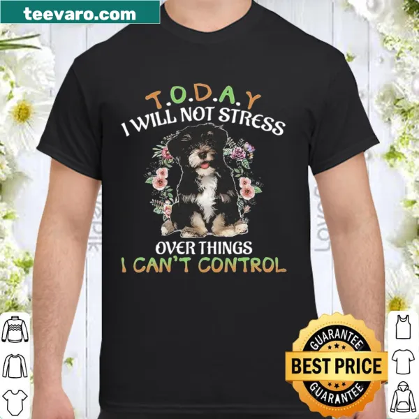 Shirt with the phrase 'Today I Will Not Stress Over Things I Can't Control'