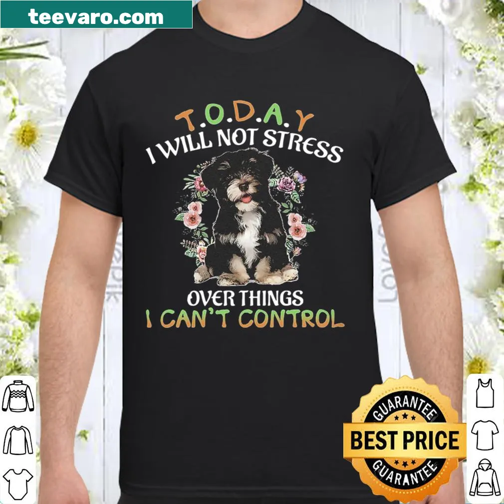 Shirt with the phrase 'Today I Will Not Stress Over Things I Can't Control'