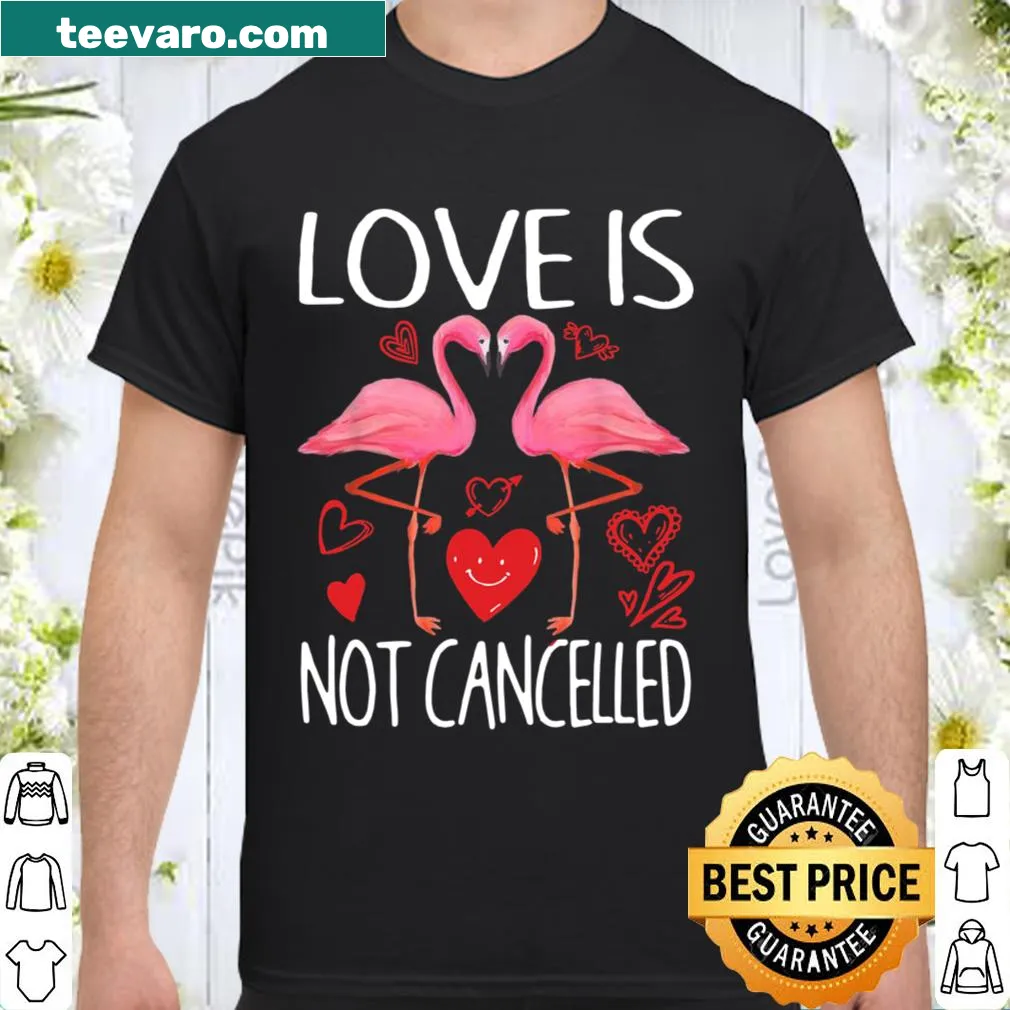 Illustration shirt saying Love Is Not Cancelled with flamingos