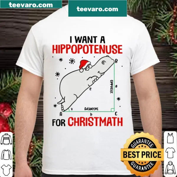 Funny holiday math pun graphic t-shirt