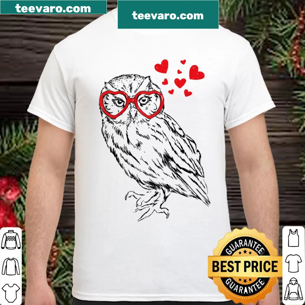 Raglan tee with two owls in sunglasses and 'Love' text design