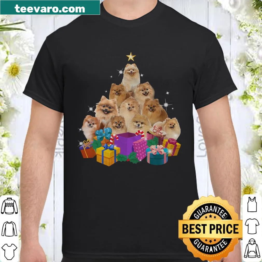 Cute Pomeranian Santa Claus graphic for Christmas-themed shirt