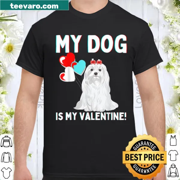 Funny shirt stating My Dog Is My Valentine for dog lovers