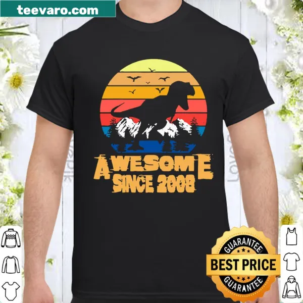 Vintage 13th birthday shirt for dinosaur lovers born in 2008