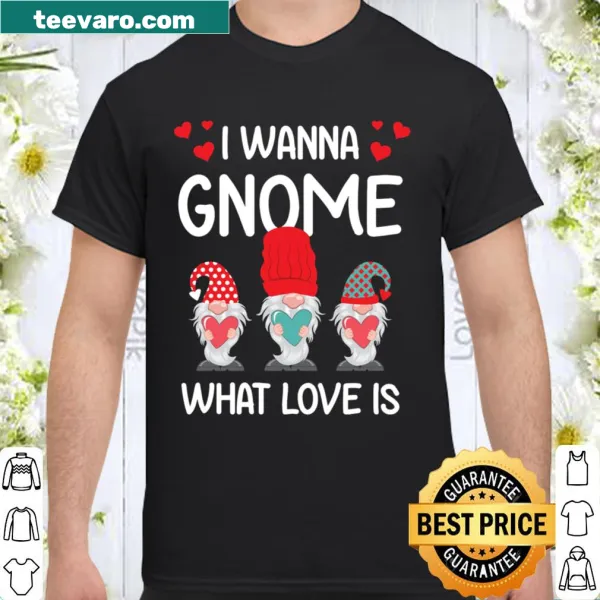 Funny shirt with the phrase 'I Want Gnome What Love Is'