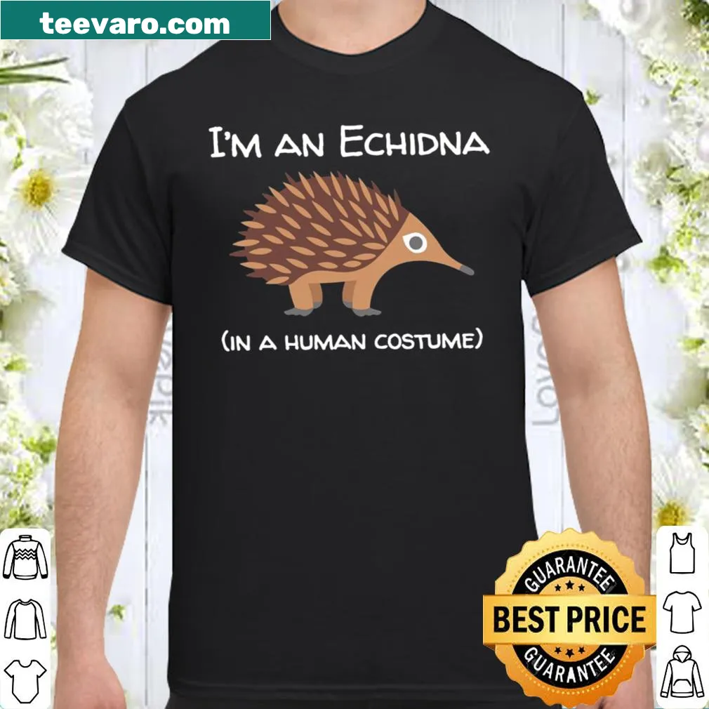 Kid's shirt featuring an illustration of an echidna costume