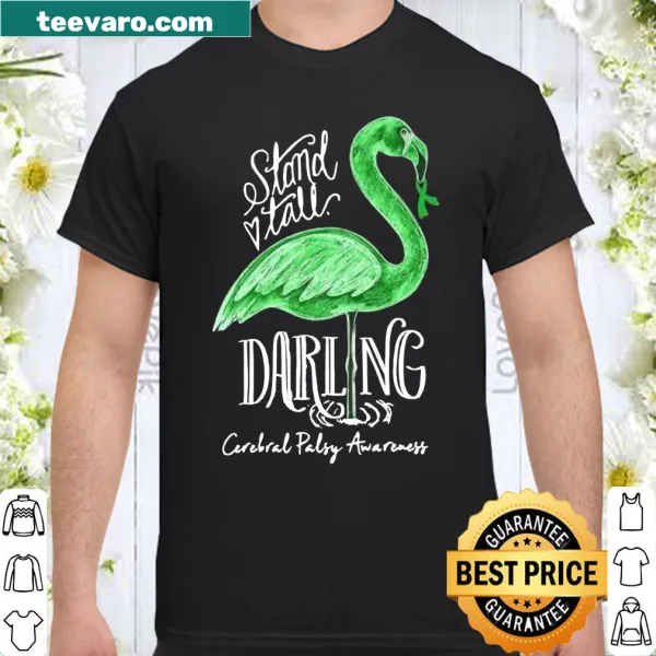 Illustrated flamingo shirt promoting cerebral palsy awareness with supportive text