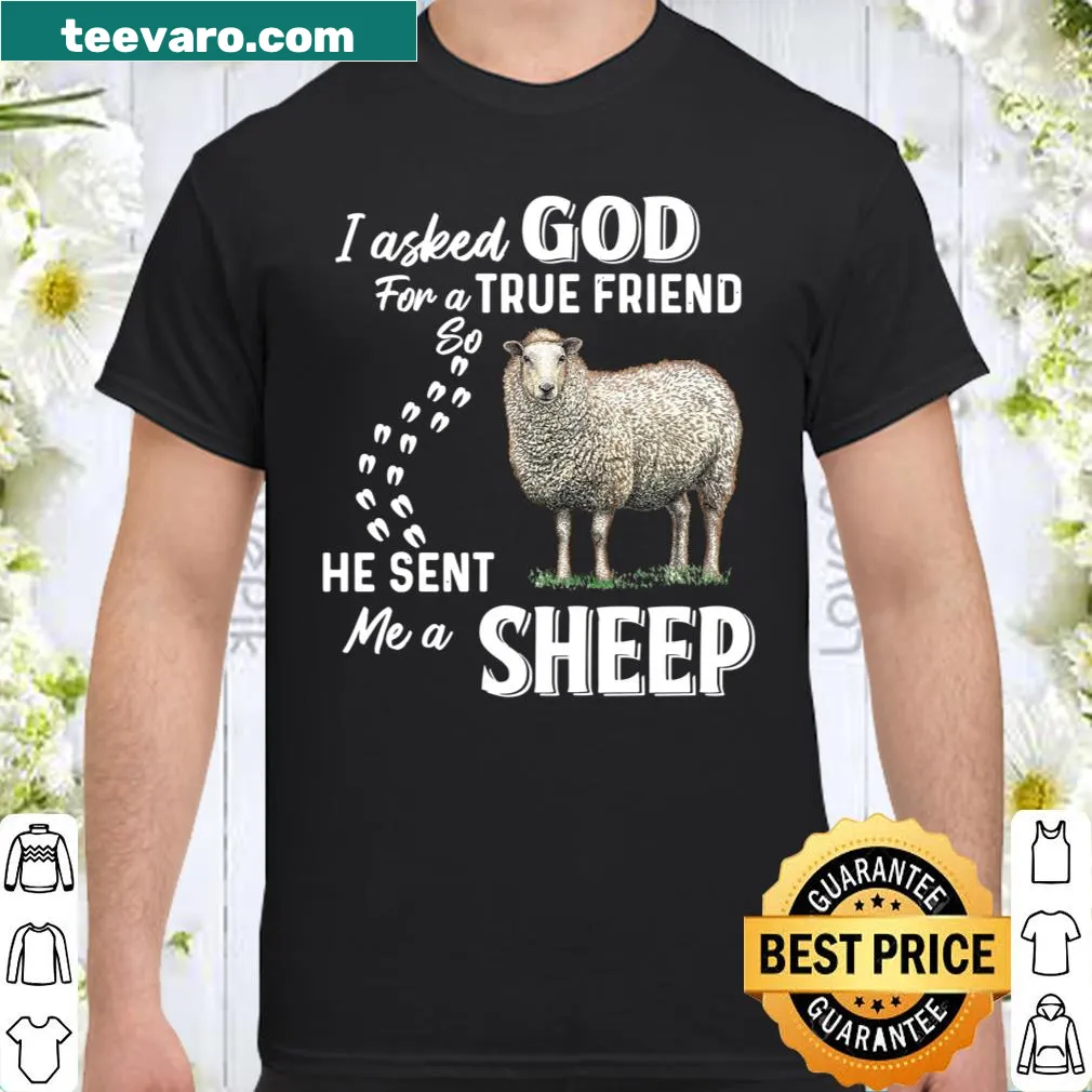 Sentimental shirt with the phrase about friendship and a sheep