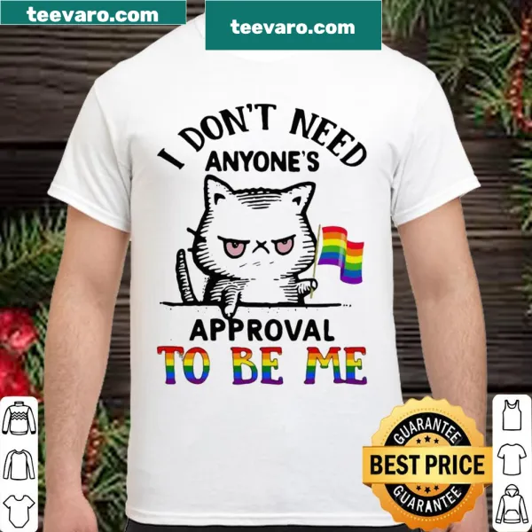 Bold shirt with text about self-acceptance and LGBTQ flag with a cat