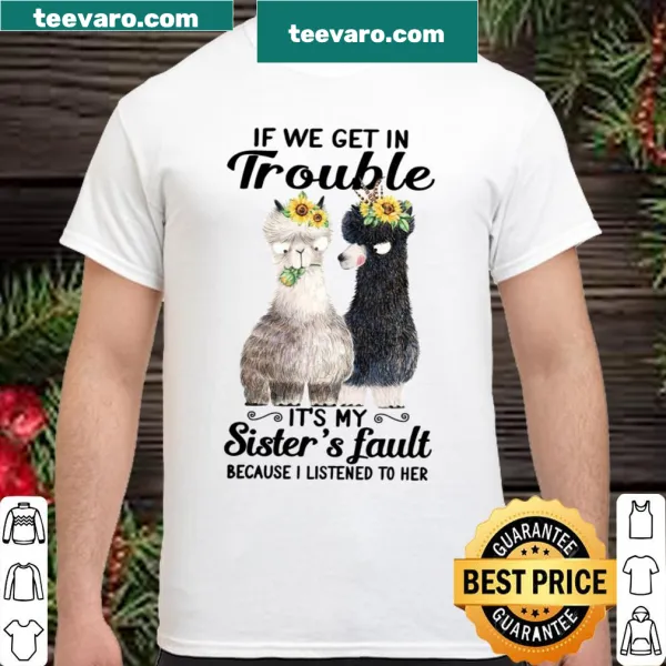 Funny sibling shirt about taking the blame for sister's actions