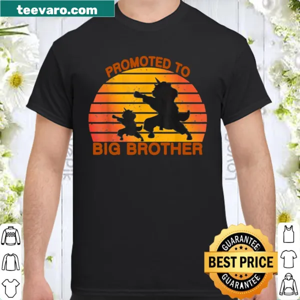 Playful shirt for big brothers announcing promotion