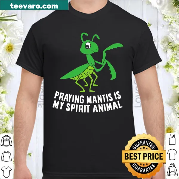 Illustration of a praying mantis showcasing its spirit animal theme