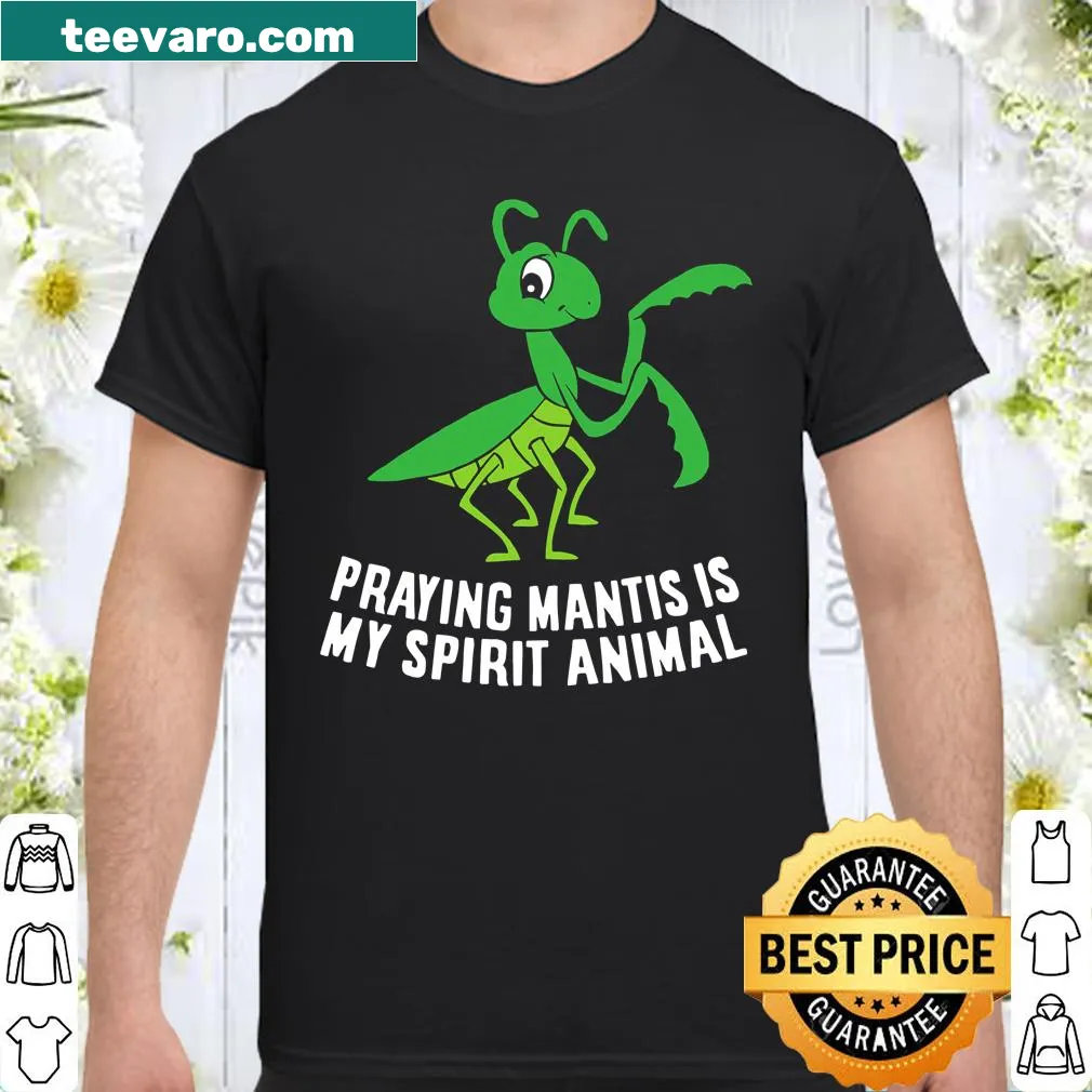 Illustration of a praying mantis showcasing its spirit animal theme