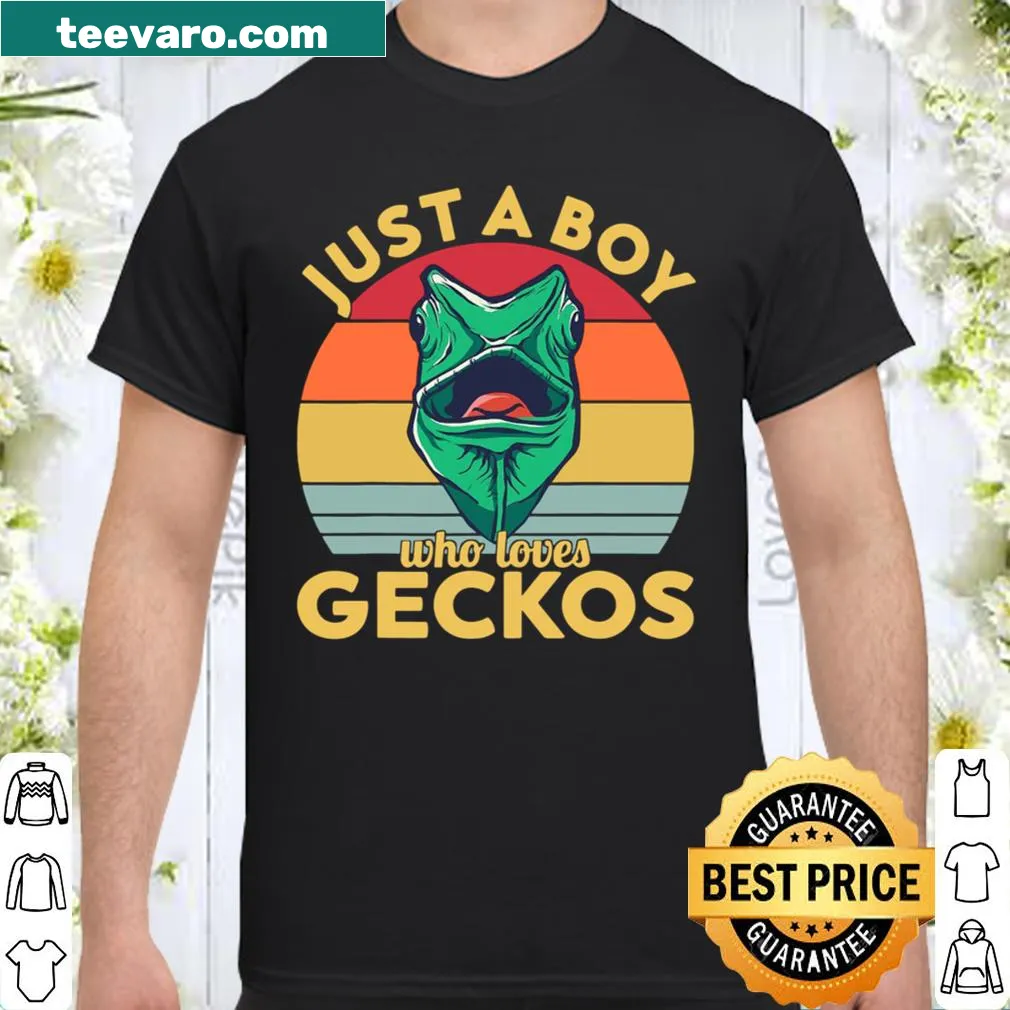 Illustration of a gecko with the text 'Just A Boy Who Loves Geckos'.
