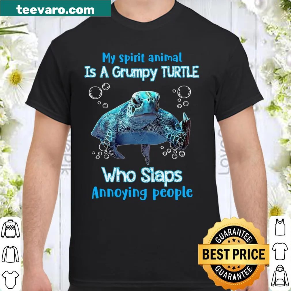 Cute shirt featuring a grumpy turtle and a funny phrase.