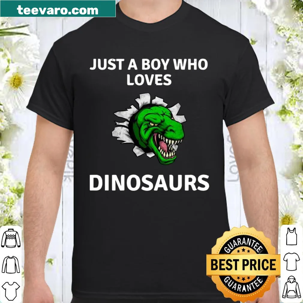 Cute T-Rex illustration with text 'Just A Boy Who Loves Dinosaur T Rex'