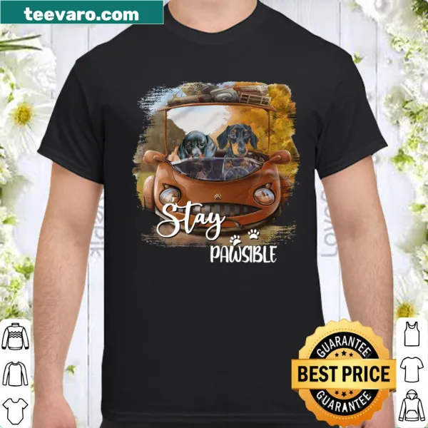 Funny dachshund shirt with the phrase Stay Pawsible