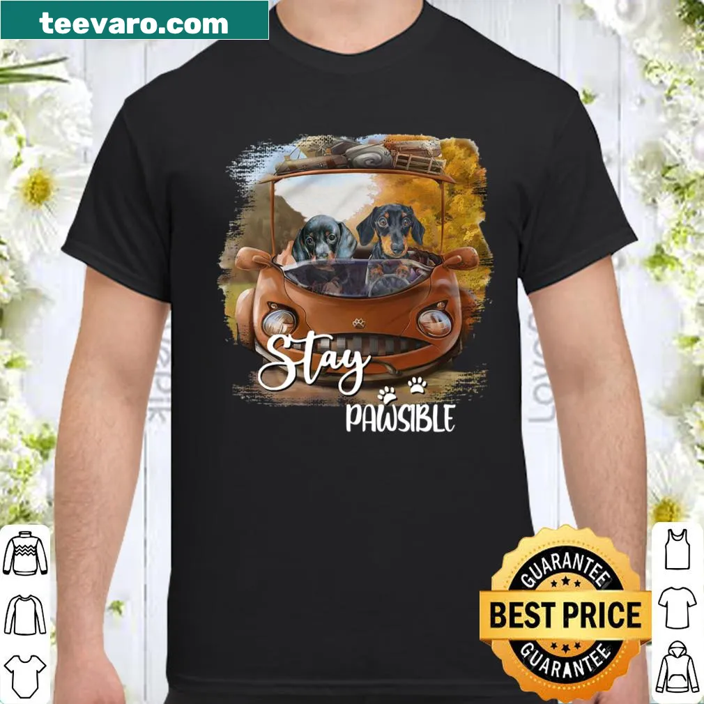 Funny dachshund shirt with the phrase Stay Pawsible