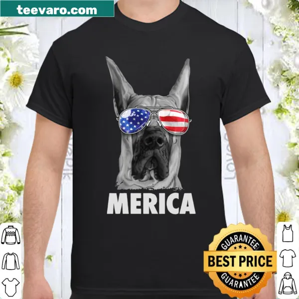 Great Dane wearing sunglasses with American flag design