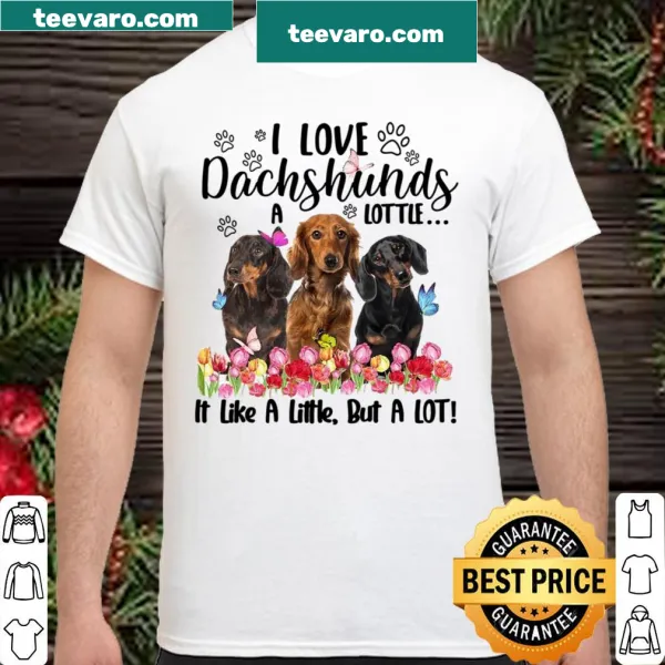 Cute shirt expressing love for dachshunds with playful text
