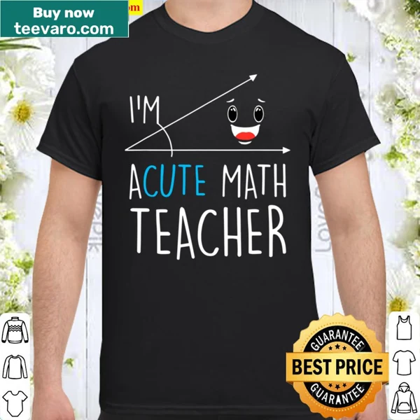 Funny math teacher shirt with clever pun