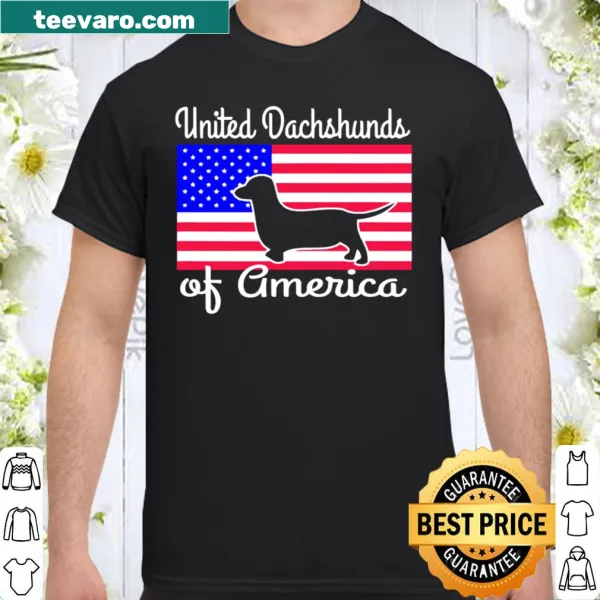 Dachshund wearing American flag design on a patriotic shirt