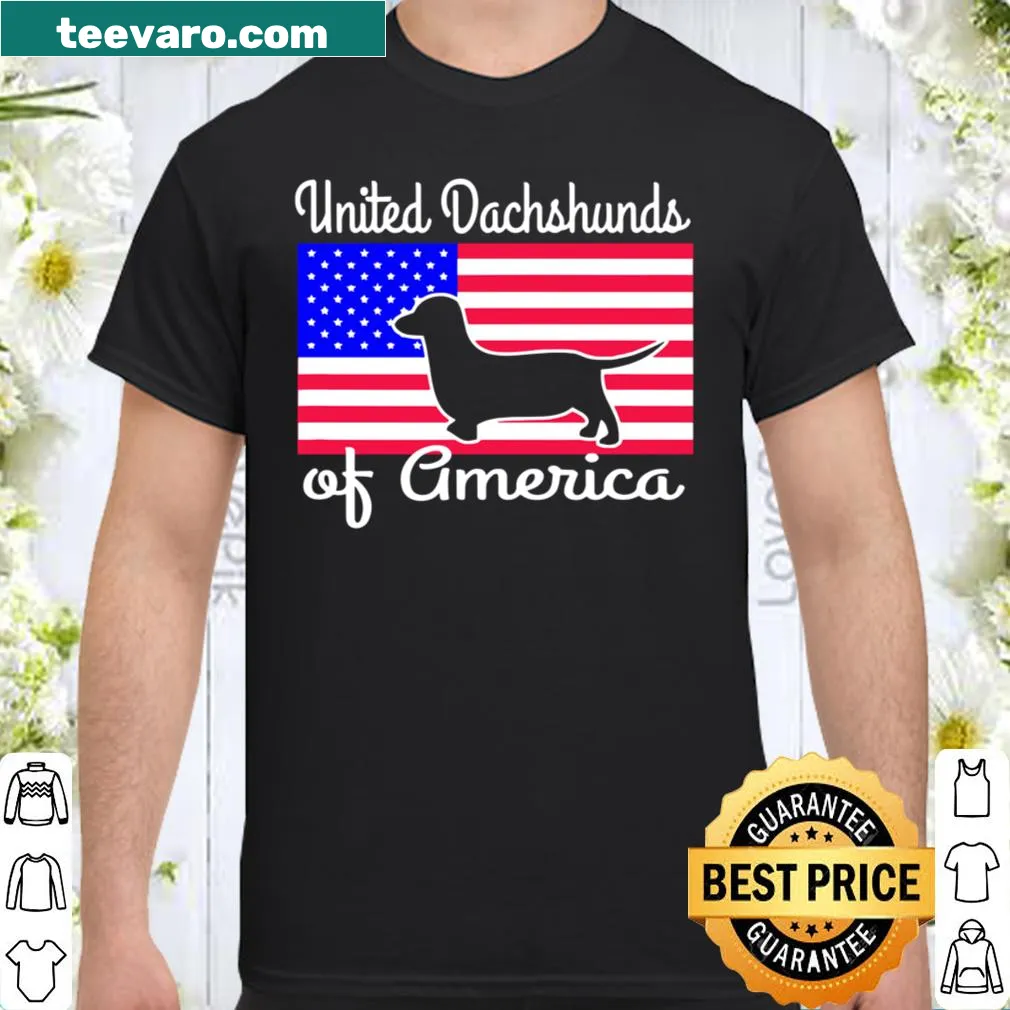 Dachshund wearing American flag design on a patriotic shirt