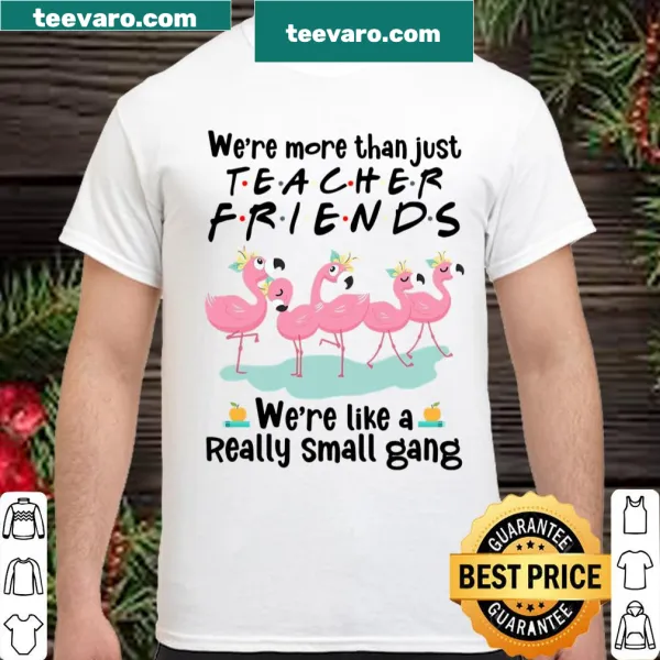 Shirt with humorous text about teacher friendships