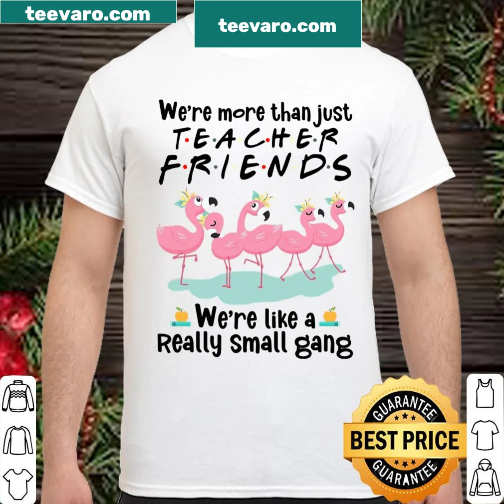 Shirt with humorous text about teacher friendships