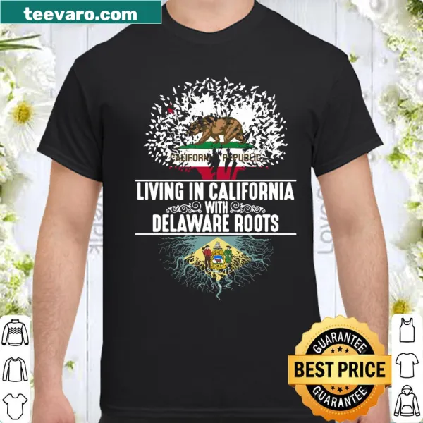 Illustrative t-shirt with California and Delaware state symbols