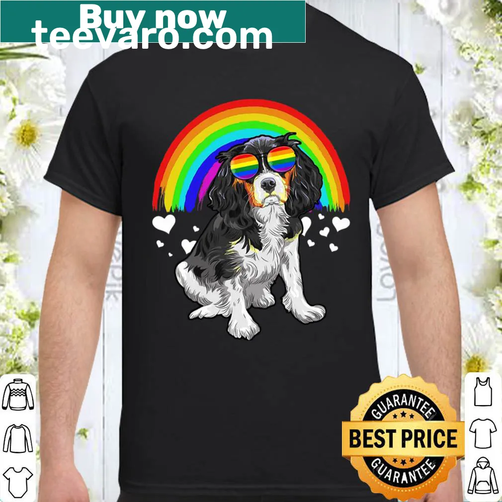Cavalier King Charles Spaniel with rainbow design for pride