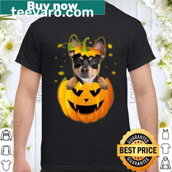 Chihuahua Halloween sweatshirt with pumpkins and funny text for dog lovers