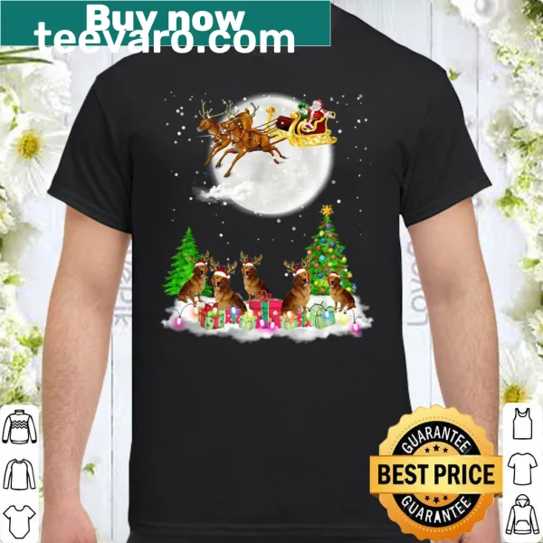 Golden retriever wearing reindeer antlers and Santa lights in a Christmas design