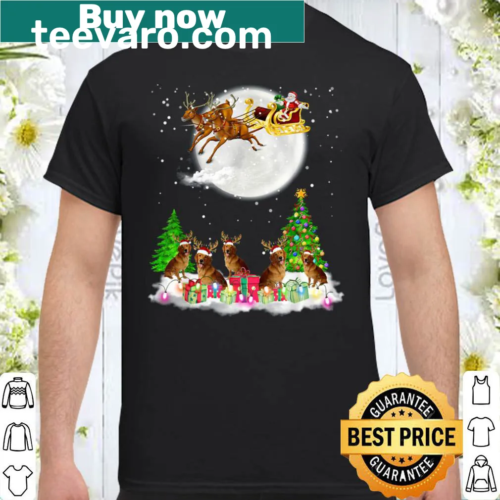 Golden retriever wearing reindeer antlers and Santa lights in a Christmas design
