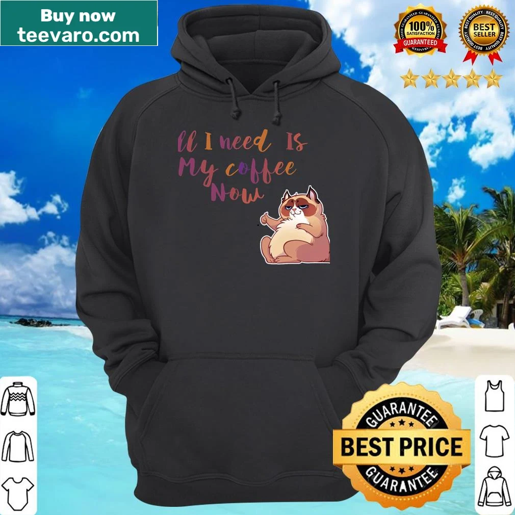 Coffee and cat lover shirt with slogan — on a hoodie