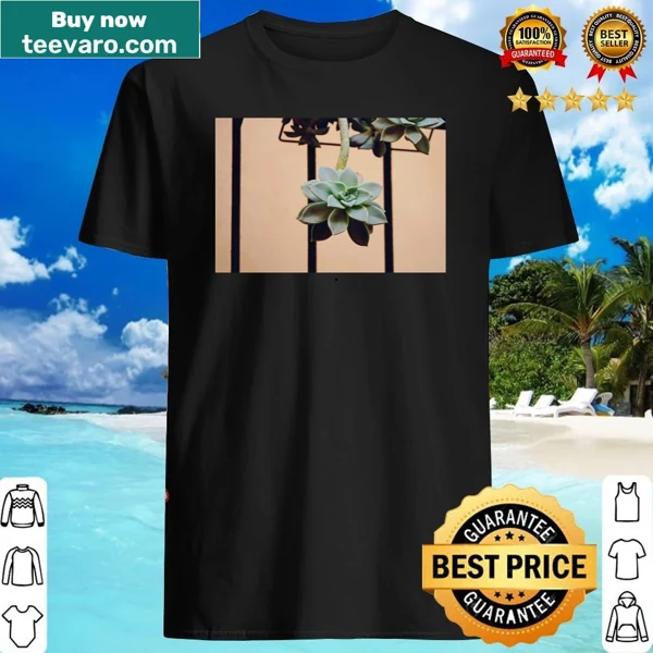 Illustration of Echeveria ghost plant on a shirt