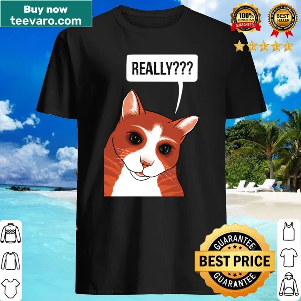 Adorable ginger cat graphic on a worried-looking T-shirt