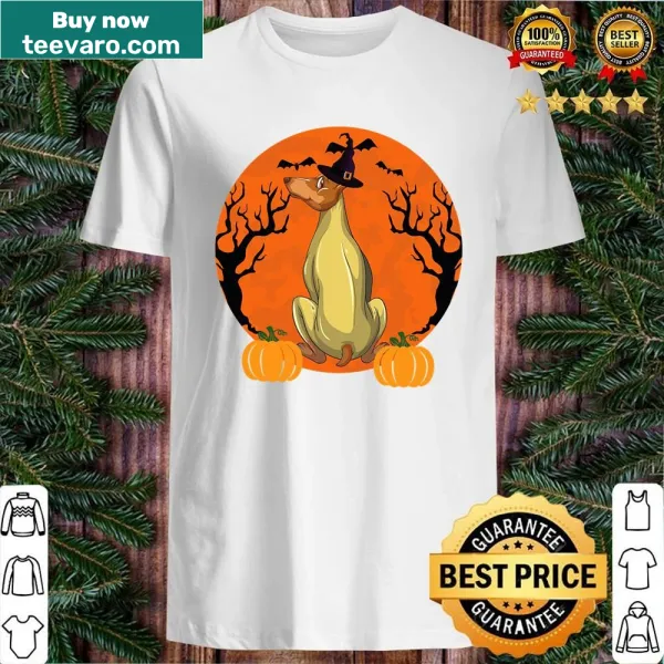Doberman with witch hat and pumpkin Halloween shirt