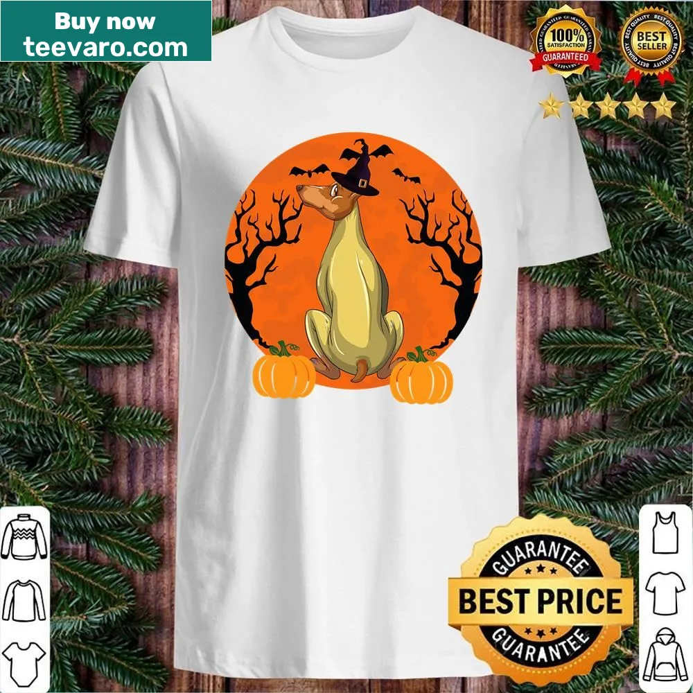 Doberman with witch hat and pumpkin Halloween shirt