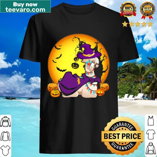 Kids' Halloween shirt featuring a funny llama witch and pumpkins