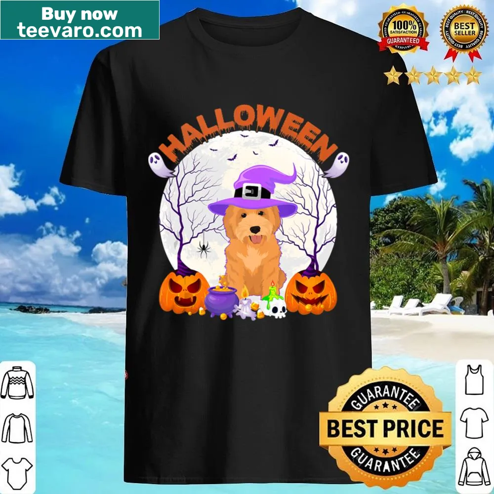 Goldendoodle in a witch hat among pumpkins for Halloween.