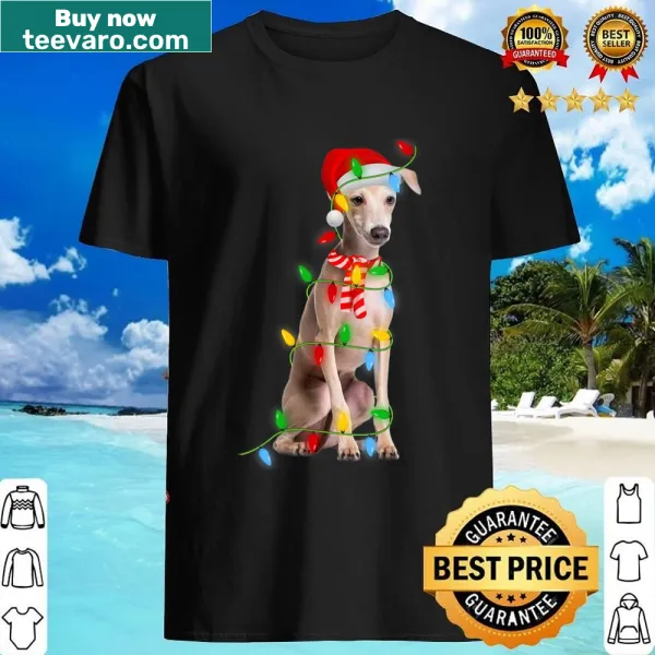 Italian Greyhound dog with festive lights on a v-neck Christmas shirt
