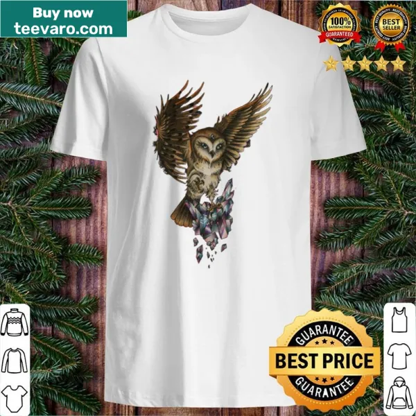 Adorable shirt featuring a graphic of a cat and an owl