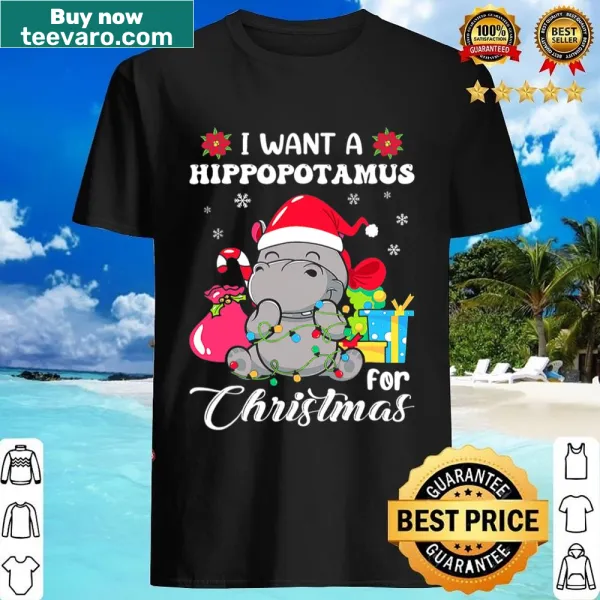 Graphic tee with a hippo wish for Christmas for kids