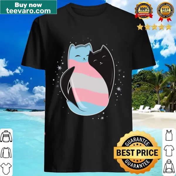 T-shirt with a cat and the LGBT pride flag illustration